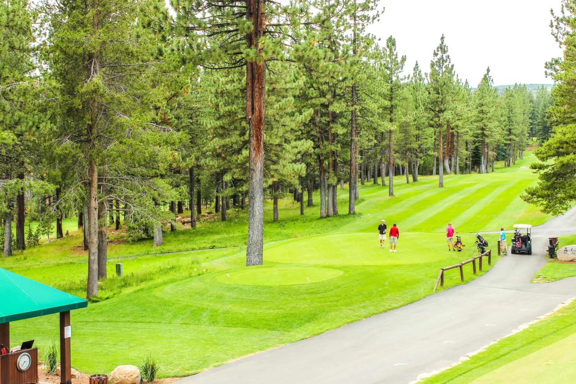 Bears Lair Villa Truckee Eksteriør billede